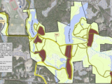 Cranberry Watershed Preserve