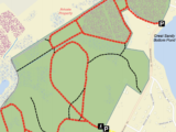 J. J. Shepherd Memorial Forest