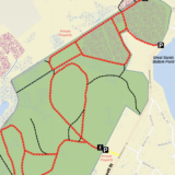 J. J. Shepherd Memorial Forest