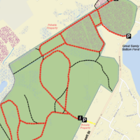 J. J. Shepherd Memorial Forest