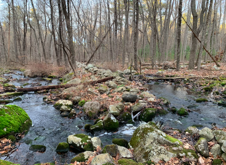 Who Manages These Trails? A Guide to South Shore Conservation Organizations