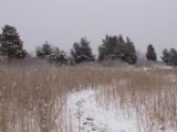 Ames Nowell State Park