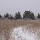 Eight Ponds Pass