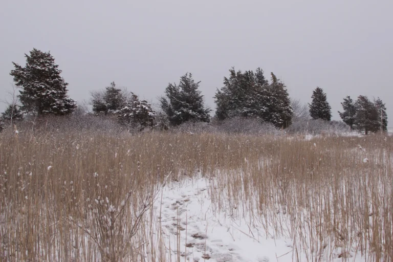 Best Snow Hikes on the South Shore